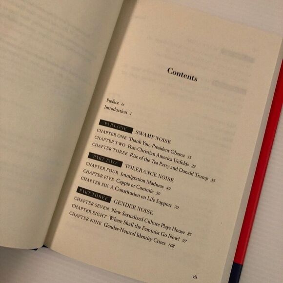 Necessary Noise: How Donald Trump Inflames the Culture War and Why This Is Good - Picture 2 of 4